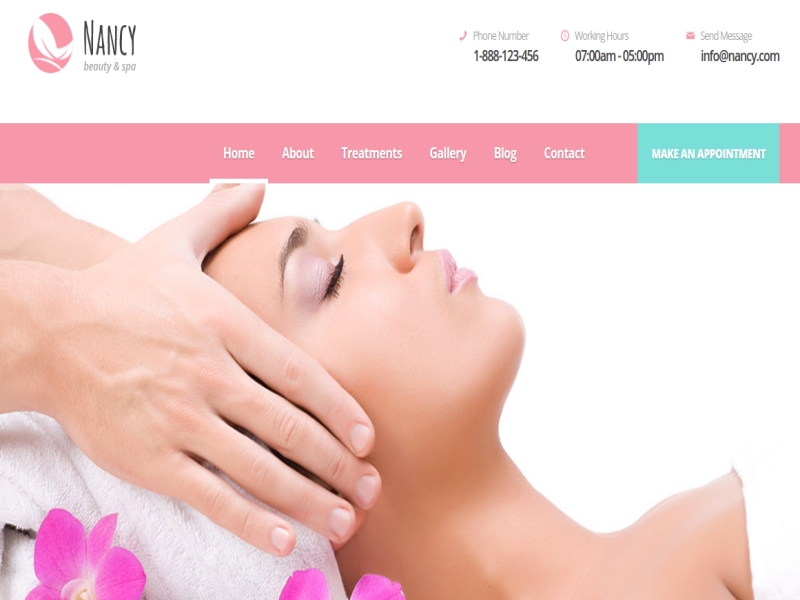 nancy-wordpress-theme