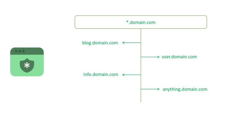 Free Wildcard Vs. Paid Wildcard SSL Certificate – Difference Explained